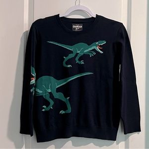 Boys Dinosaur Fine Long-sleeve Sweater